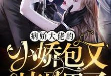 主角纪凌宸冷晔冷烨海城小说病娇大佬的小娇包又掉马甲了免费阅读-够力荐小说推荐网