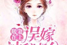 暖妻在上:误嫁神秘老公(顾星辰沈南城)在线免费阅读-够力荐小说推荐网