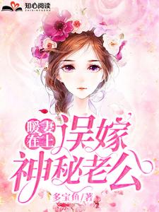 暖妻在上：误嫁神秘老公（顾星辰沈南城）在线免费阅读