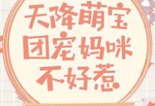 天降萌宝:团宠妈咪不好惹小说的无弹窗阅读体验,寻找免费阅读网站-够力荐小说推荐网