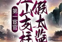 第一宦官:江山支柱假太监小说有没有完结版在线?-够力荐小说推荐网