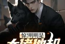 《惊！明明是大佬他却酷爱炸鱼》全集免费在线阅读（姜昊）-够力荐小说推荐网