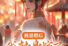 免费在线阅读被退婚后,我转身嫁了疯批权臣小说的正规网站有哪些?-够力荐小说推荐网