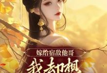 求推荐可以免费阅读嫁给宿敌他哥,我却想爬宿敌的床小说的网站-够力荐小说推荐网