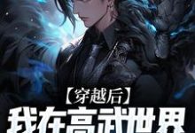 穿越后,我在高武世界绑定宝箱系统章节免费在线阅读,叶枫完结版-够力荐小说推荐网