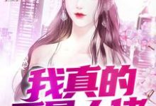 完结版《我真的不是大佬》章节目录在线阅读-够力荐小说推荐网