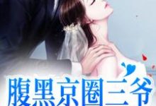 腹黑京圈三爷，只对她心动小说全文阅读需要付费吗？寻找免费资源-够力荐小说推荐网