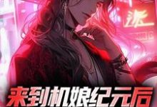 来到机娘纪元后，我杀疯了小说无弹窗阅读的网站推荐-够力荐小说推荐网