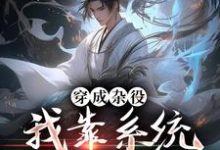 穿成杂役,我靠系统打遍高手小说无弹窗阅读的网站推荐-够力荐小说推荐网