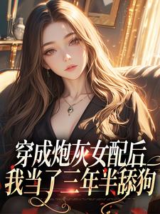 主角叶晚晚陆君寒小说穿成炮灰女配后，我当了三年半舔狗免费阅读