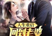 陈军孟晓丽的故事在哪本书里？免费阅读人生重启：回到老婆自杀那一天-够力荐小说推荐网
