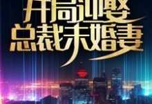 求高手下山:开局迎娶总裁未婚妻小说的全文免费阅读链接-够力荐小说推荐网
