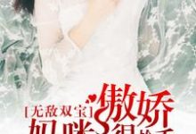 小说《无敌双宝:傲娇妈咪很抢手》章节免费阅读-够力荐小说推荐网