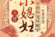 免费看大佬,小媳妇要被你宠坏啦!小说的网站有哪些?-够力荐小说推荐网