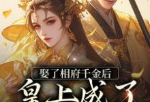 娶了相府千金后,皇上成了恋爱脑小说,娶了相府千金后,皇上成了恋爱脑最新章节-够力荐小说推荐网