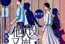 许安好顾盛泽是哪本书的主角?寻找顾先生他人设又崩了免费阅读-够力荐小说推荐网