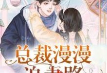 主人公叫姜璎珞欧子明欧总灵灵的小说总裁漫漫追妻路在线阅读章节-够力荐小说推荐网