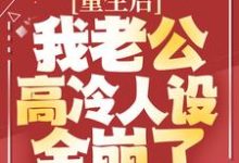 重生后,我老公高冷人设全崩了顾瑾琛夏沐小说在线章节目录阅读最新章节-够力荐小说推荐网