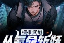横推武道:从氪命斩妖开始无敌免费阅读,横推武道:从氪命斩妖开始无敌林念-够力荐小说推荐网
