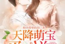 男女主人公林汐洛擎宇小说天降萌宝买二送一章节免费阅读-够力荐小说推荐网