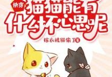 阿淼华裳是哪本书的主角？快穿：猫猫能有什么坏心思呢免费读-够力荐小说推荐网