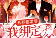 免费看现场拒婚后,我绑定了京圈太子爷小说的网站有哪些?-够力荐小说推荐网