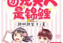 顾爷,团宠夫人是锦鲤章节免费在线阅读,南音顾时霆完结版-够力荐小说推荐网