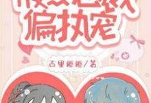 一念成婚:腹黑总裁偏执宠免费阅读,一念成婚:腹黑总裁偏执宠章节目录-够力荐小说推荐网