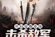 小说《开局觉醒系统,击杀敌军就能变强》在线章节阅读-够力荐小说推荐网