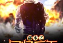 都市之回归兵王小说最新更新在哪里?免费在线看-够力荐小说推荐网