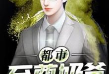 求推荐可以免费阅读都市至尊奶爸小说的网站-够力荐小说推荐网