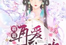 求推荐可以免费阅读霸霸再爱我一次小说的网站-够力荐小说推荐网