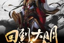 回到大明当皇帝吴钩小说大结局免费试读-够力荐小说推荐网