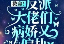 救命！反派大佬们病娇又偏执盛暖，救命！反派大佬们病娇又偏执小说免费阅读-够力荐小说推荐网
