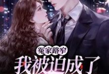 《冤家路窄:我被迫成了前男友的小妈》小说章节在线试读,《冤家路窄:我被迫成了前男友的小妈》最新章节目录-够力荐小说推荐网