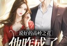《说好的高岭之花,他咋成了偏执疯子》小说章节在线试读,《说好的高岭之花,他咋成了偏执疯子》最新章节目录-够力荐小说推荐网