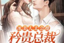 小说《冰美人太会撩，矜贵总裁他难自控啦》章节免费阅读-够力荐小说推荐网
