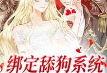 《绑定舔狗系统:老公躺平任舔》全集免费在线阅读(江沅陆离)-够力荐小说推荐网