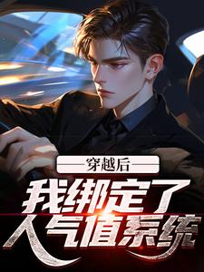 免费看穿越后，我绑定了人气值系统小说的网站有哪些？