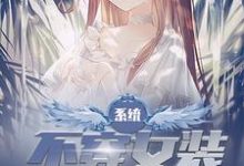 系统:不穿女装就会死小说完结了吗?在哪里可以免费读到?-够力荐小说推荐网