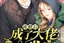 求离婚后,成了大佬的心尖宠小说的全文免费阅读链接-够力荐小说推荐网