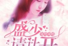 强势锁婚:盛少,请让开小说无弹窗阅读的网站推荐-够力荐小说推荐网