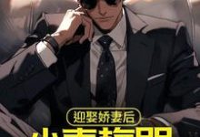 迎娶娇妻后,小青梅哭着来找我小说无弹窗阅读的网站推荐-够力荐小说推荐网