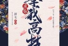 完结版《求你攀我高枝》免费阅读-够力荐小说推荐网