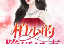 《柏少的隐婚娇妻》小说主角林沁柏天衡章节章节免费在线阅读-够力荐小说推荐网