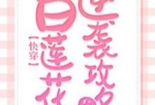 快穿:白莲花逆袭攻略主角苏清影冥夜周招摇小说完结版章节在线阅读-够力荐小说推荐网