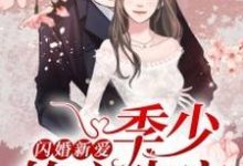 闪婚新爱:季少的心尖宠小说有没有完整的免费版本在线阅读?-够力荐小说推荐网