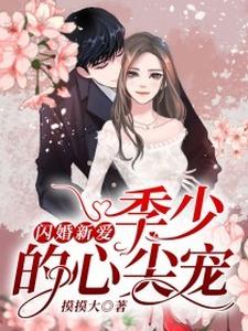 闪婚新爱：季少的心尖宠小说有没有完整的免费版本在线阅读？