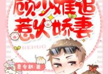 哪里能找到一胎两宝:顾少难追惹火娇妻小说的最新更新和免费章节?-够力荐小说推荐网