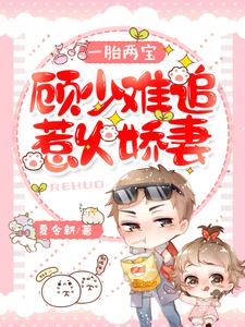 哪里能找到一胎两宝：顾少难追惹火娇妻小说的最新更新和免费章节？